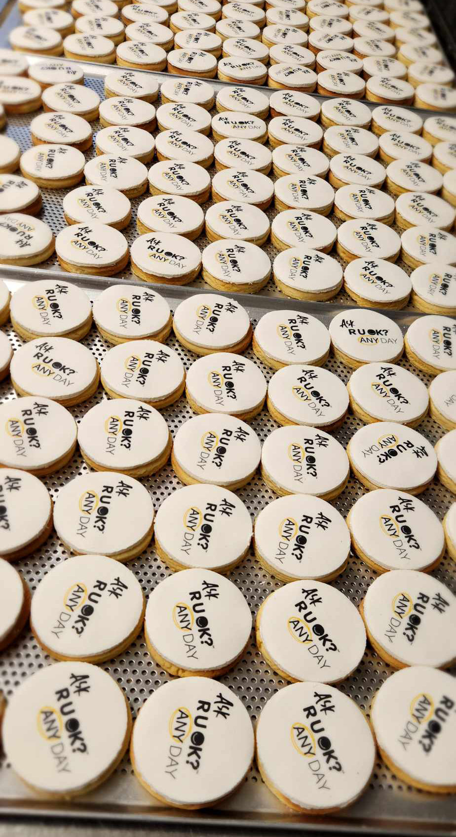 Ask R U OK Cookies - White - Pack of 100 - 6cm