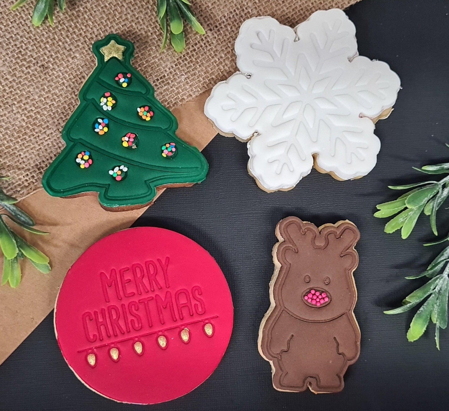 Rudolph Snowflake Pack.